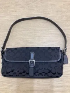 極美品 COACH アクセサリーポーチ ハンドバッグ シグネチャー 6044