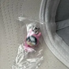 めじるしアクセサリー 百