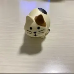 DECOLE デコレ　コンコンブル　観察猫
