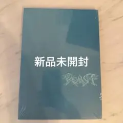 新品未開封　ALD1 少年BEAST Cementic Nest Ver