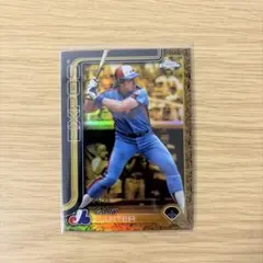 Item thumbnail for item 965a9262-349f-46b0-bd8c-45bbb935f83a