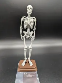 Item thumbnail for item f842c72c-c9ec-44c7-9a75-c1b7e5b08d12