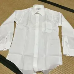 Item thumbnail for item cf33a3a3-ec19-4b11-b731-62ce159e05e3