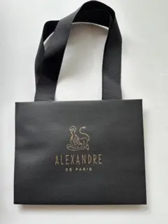 ALEXANDRE DE PARIS アレクサンドルドゥパリ ショッパー 紙袋