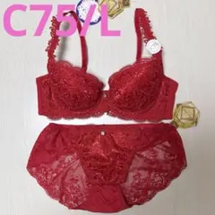 C75Lレッドレーベル バイ トリンプ0104 ブラ＆ショーツ Pink - メルカリ