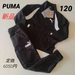 新品 PUMAプーマ ジャージ上下セット 黒 キッズ120