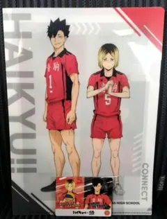 くら寿司　ハイキュー　クリアファイル　カード 黒尾鉄朗 孤爪研磨