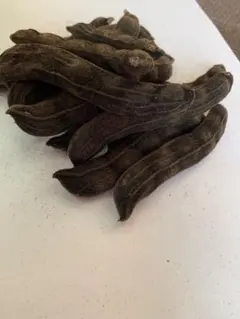 ムクナ豆（八升豆）　50粒＋α　殻付き　メルカリ便