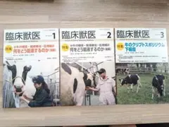 臨床獣医 2020年 1月〜12月 全12冊セット 産業動物 獣医学 臨床獣医 2020年 1月〜12月 全12冊セット 産業動物 獣医学 - メルカリ