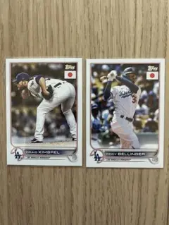 Item thumbnail for item 3bfa12d4-b271-4489-a57f-a65870776ff0