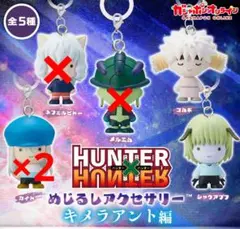 HUNTER × HUNTER ハンターハンター めじるしアクセサリー