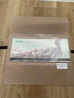 ブライダルインナー　プレミアムビスチェ（D70）