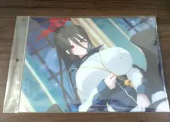 ブルーアーカイブ ハスミ(体操着) クリアファイル