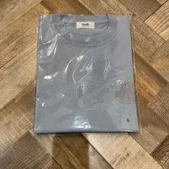 Item thumbnail for item 6ad5ea5d-9196-4576-9104-454a8a9d2221