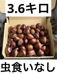 ハチハチハチハチッペ様専用ページ