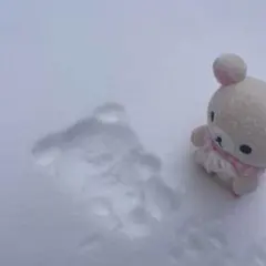 むうさま　専用ページ⭐︎