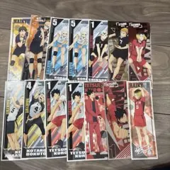 ハイキュー!! ステッカー 14枚セット