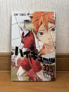 ハイキュー33.5巻音駒番外編‼︎