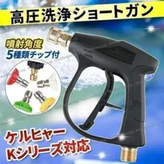 ケルヒャー 高圧洗浄機 アクセサリー トリガーガン 純正 新品、未使用
