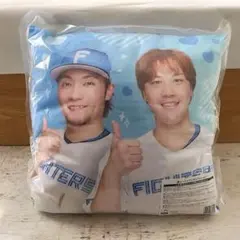翌日発送 FANTASTICS ファンタ 佐藤大樹 カプセル ガチャ クッション