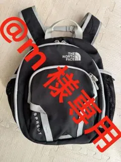 即発送！THE NORTH FACE SPROUT ベビーリュック⭐︎記名なし