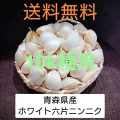 青森県産 ホワイト六片 ニンニク 4kg‼R8年産 青森県産 ホワイト六片 ニンニク 1kg‼R8年産 - メルカリ