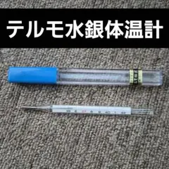 TERUMO　水銀体温計　昭和レトロ　テルモ水銀計　テルモ体温計　水銀体温計のサムネイル