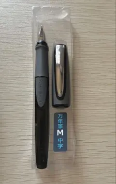 Schneider Ray M /シュナイダー レイM/万年筆/右利きのサムネイル
