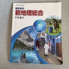 高等学校　新地理総合