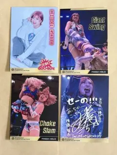 Item thumbnail for item 1839f3d1-0216-4618-a547-ab239f38d6c4