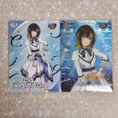 鴉ン弧@一言求様 リクエスト 2点 まとめ商品