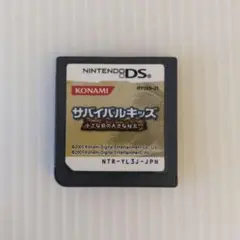 サバイバルキッズ ds