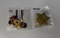 ディズニー グッズ　ピンバッジ