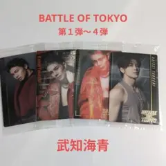 武知海青 BATTLE OF TOKYO