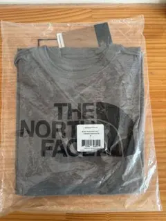 THE NORTH FACE グレー Tシャツ