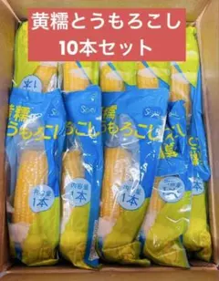 黄糯とうもろこし もちもち黄糯玉米 真空パック黄玉米 黏玉米10本のサムネイル