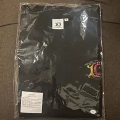 Mrs. GREEN APPLE FJORD フィヨルド アニバーサリーTシャツ