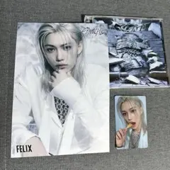 スキズ GIANT フィリックス 通常盤 トレカ タワレコ フライヤー