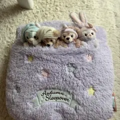 Autumn Sleepover ダッフィー＆フレンズ クッションのサムネイル
