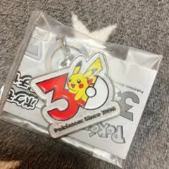 ポケモン30周年 メタルチャームマスコット ピカチュウ