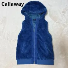 ダウンベスト レディースウェア