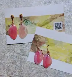 桜貝のイヤリング