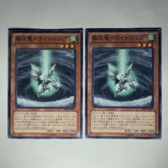 2026年最新】征竜の人気アイテム - メルカリ