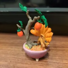 ポケモン　リーメント　ぽけっとBONSAI　ロコン