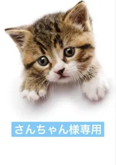 さんちゃん様専用　人気完売新品　アンティカ 最終値下げ　オシャレドットシャツ