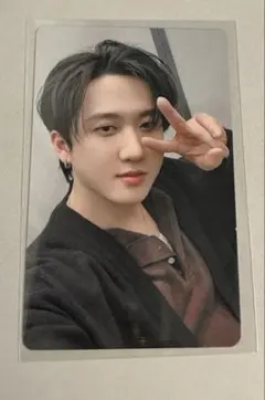 StrayKids スキズ エコパ Hollowチャンビン