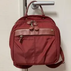 ぶ*ー様 カナナプロジェクト　赤いリュック・バックパック