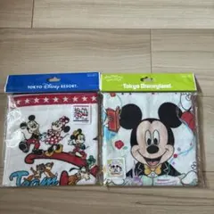 東京ディズニーリゾート キャラクタータオル 2枚セット
