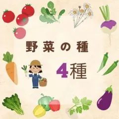 ★●選べる野菜の種　4点セットのサムネイル