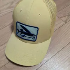 Patagonia パタゴニア FCD 25YEARSトラッカーメッシュキャップ - メルカリ